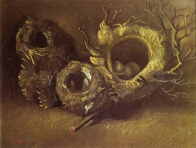 Still Life with Three Birds Nests by Vincent van Gogh