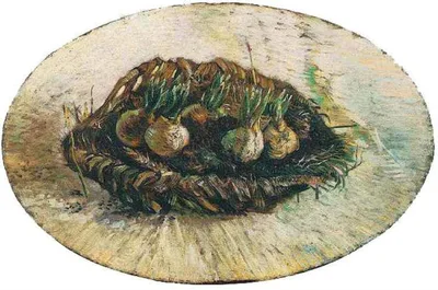 Basket of Sprouting Bulbs by Vincent van Gogh