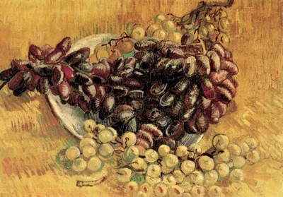 Still Life with Grapes by Vincent van Gogh