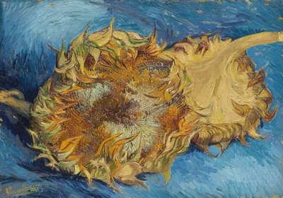 Still Life with Two Sunflowers by Vincent van Gogh