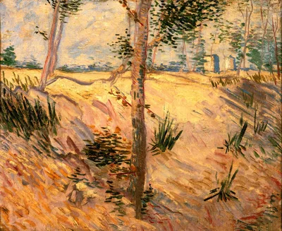 Trees in a Field on a Sunny Day by Vincent van Gogh