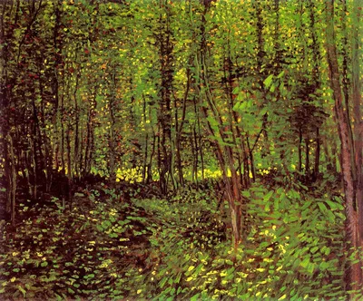Trees and Undergrowth by Vincent van Gogh