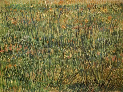 Pasture in Bloom by Vincent van Gogh