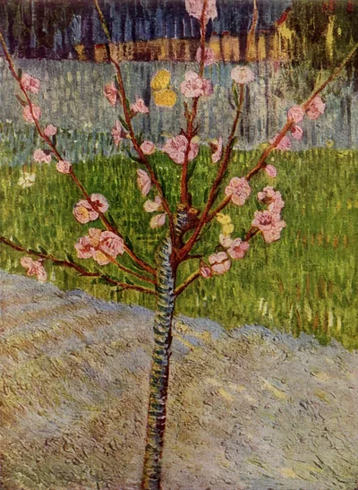 Almond Tree in Blossom by Vincent van Gogh