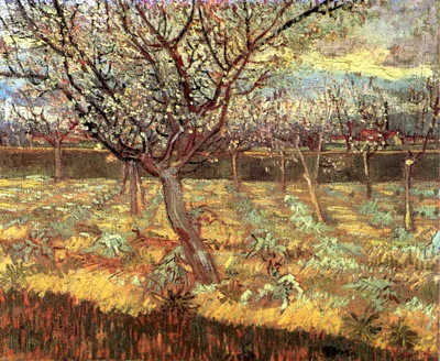 Apricot Trees in Blossom by Vincent van Gogh