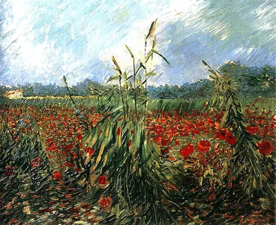 Green Ears of Wheat by Vincent van Gogh