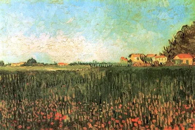 Farmhouses in a Wheat Field Near Arles by Vincent van Gogh