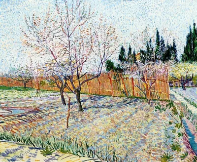 Orchard with Peach Trees in Blossom by Vincent van Gogh