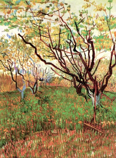 Orchard in Blossom by Vincent van Gogh