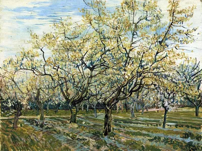 Orchard with Blossoming Plum Trees by Vincent van Gogh