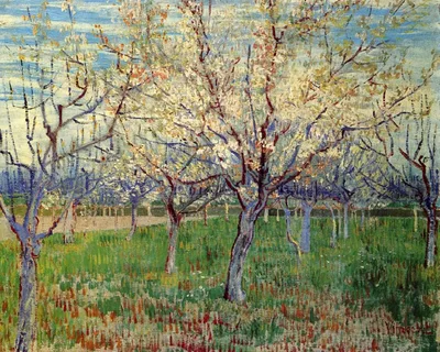 Orchard with Blossoming Apricot Trees by Vincent van Gogh
