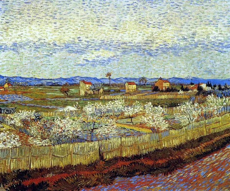 A small orchard of peach trees in pale pink bloom behind a reed fence, with blue hills in the distance under a pale sky.