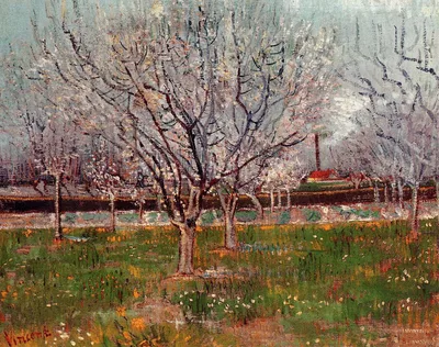 Orchard in Blossom (Plum Trees) by Vincent van Gogh