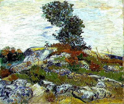 The Rocks with Oak tree by Vincent van Gogh