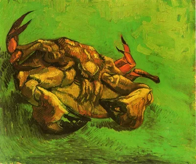 Crab on It`s Back by Vincent van Gogh