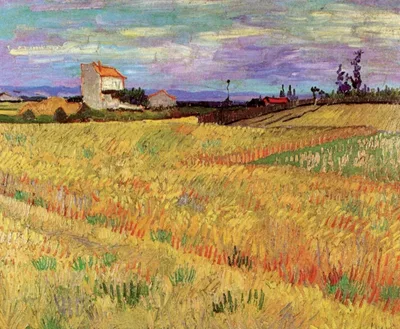 Wheat Field by Vincent van Gogh