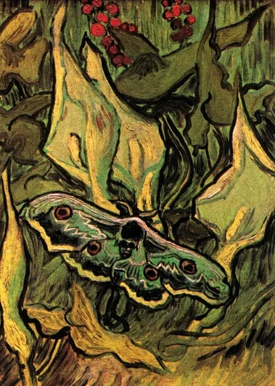 Great Peacock Moth by Vincent van Gogh