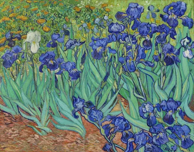 Irises by Vincent van Gogh
