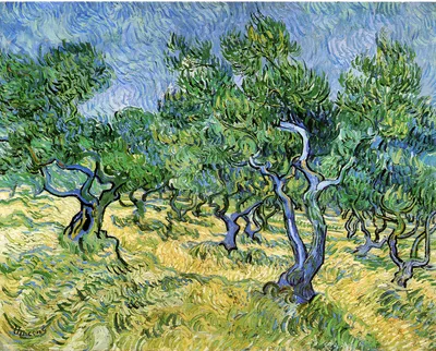 Olive Grove by Vincent van Gogh