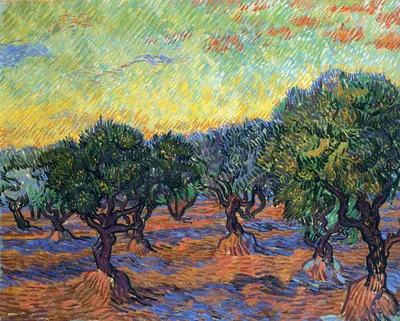 Olive Grove - Orange Sky by Vincent van Gogh