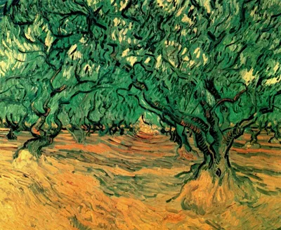 Olive Trees by Vincent van Gogh