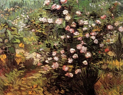 Rosebush in Blossom by Vincent van Gogh