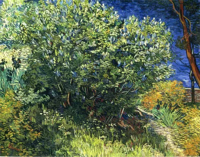 Lilac Bush by Vincent van Gogh