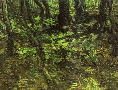Undergrowth with Ivy by Vincent van Gogh