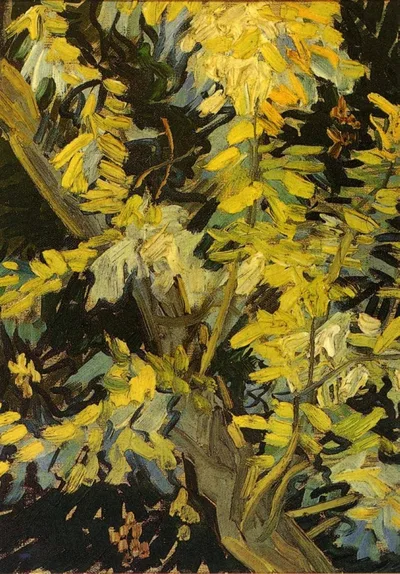 Blossoming Acacia Branches by Vincent van Gogh
