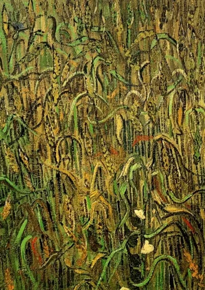 Ears of Wheat by Vincent van Gogh