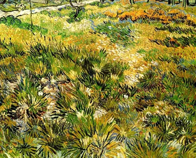 Meadow in the Garden of Saint-Paul Hospital by Vincent van Gogh