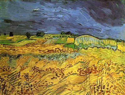 The Fields by Vincent van Gogh