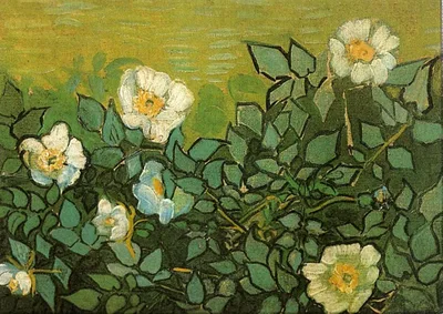 Wild Roses by Vincent van Gogh