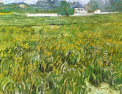 Wheat Field at Auvers with White House by Vincent van Gogh